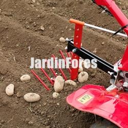 Arranca patatas nº 1 Honda - Imagen 2