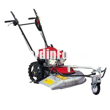 Honda UM 536 - Desbrozadora de ruedas para usuarios particulares exigentes - Imagen 1