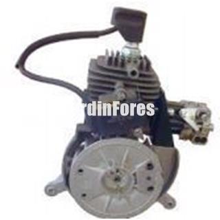 Oleo-Mac BV 300 - Soplador manual usuario particular - Imagen 2