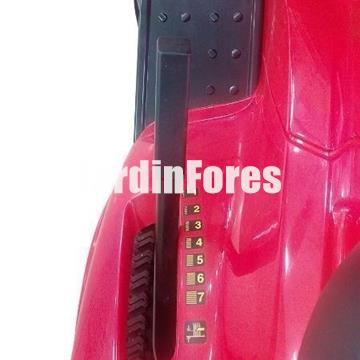 Oleo-Mac OM 91 PLUS - Tractor con descarga trasera para medias superficies - Imagen 2