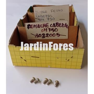 Remache cabezal Efco 8510 Boss (3032005) - Imagen 1