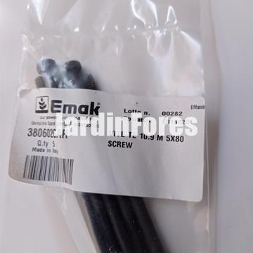 Tornillo 8.8 5x80 Oleo-Mac (3806026AR) - Imagen 1